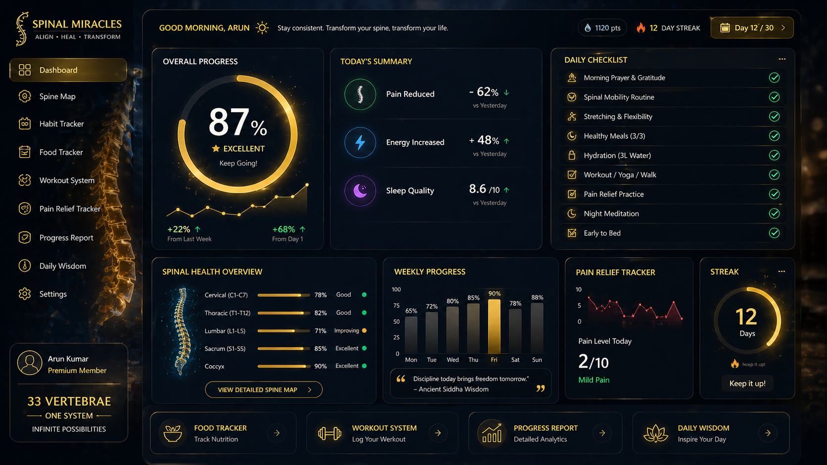 Spinal Miracles interactive Master Dashboard — 30-day vertebra-by-vertebra tracker